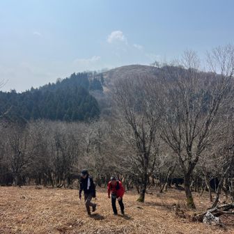 そしてまた登る💦