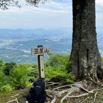 祠からは緩やかな道が続き終点が広い山頂