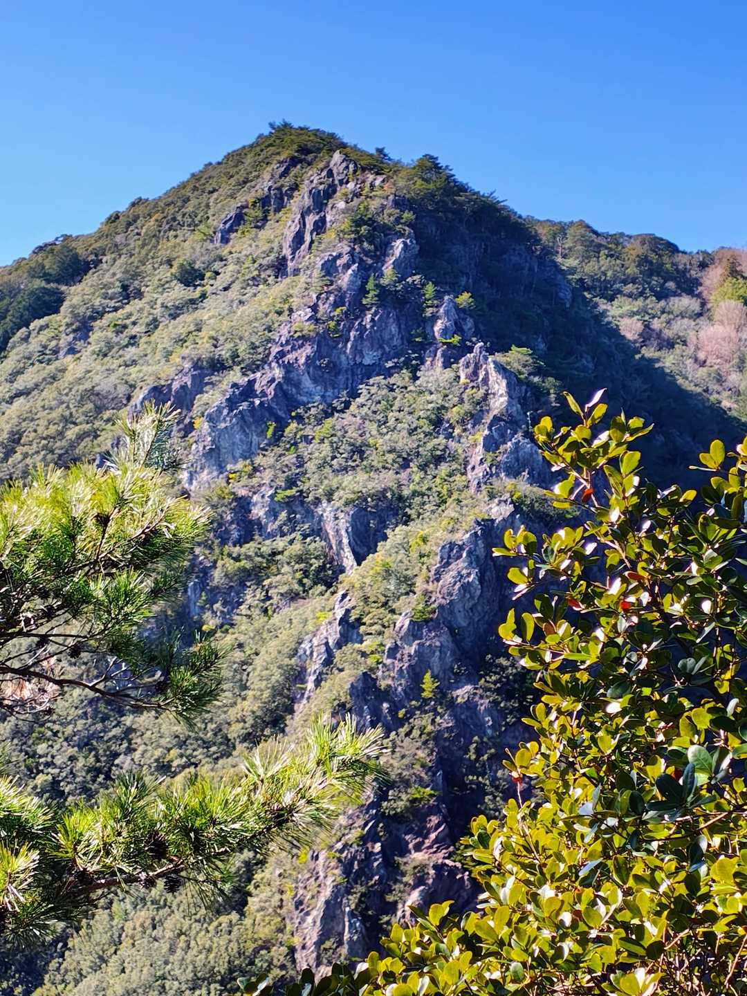 これから目指す諾炬羅山