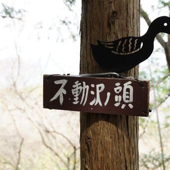 366ｍ　鳥さんがかわいい☺