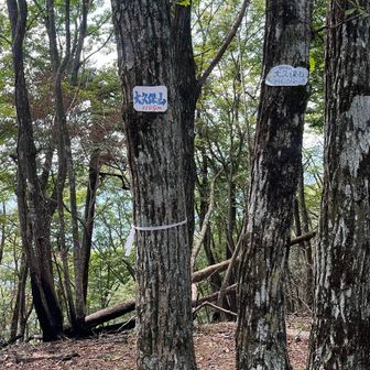あと少しで扇山だけど、キツくてここでへたり込んだ😣
体力落ちたなぁ