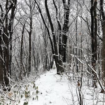 登山口の北側

YAMAPでは立入禁止区域と出ますが、看板などは無くなってました👌

ちょんまげさんとスライド✨
その少し後にまっきー🦍さんとスライド✨

なんかホッとするな。

久々の三角山は真っ白だった。
ありがとうございました！