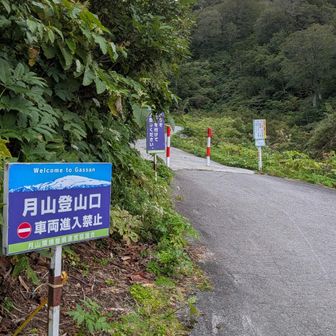 登山口
今日も頑張りましょう💪