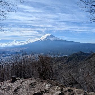 わお〜！！綺麗〜🤩🤩🤩
