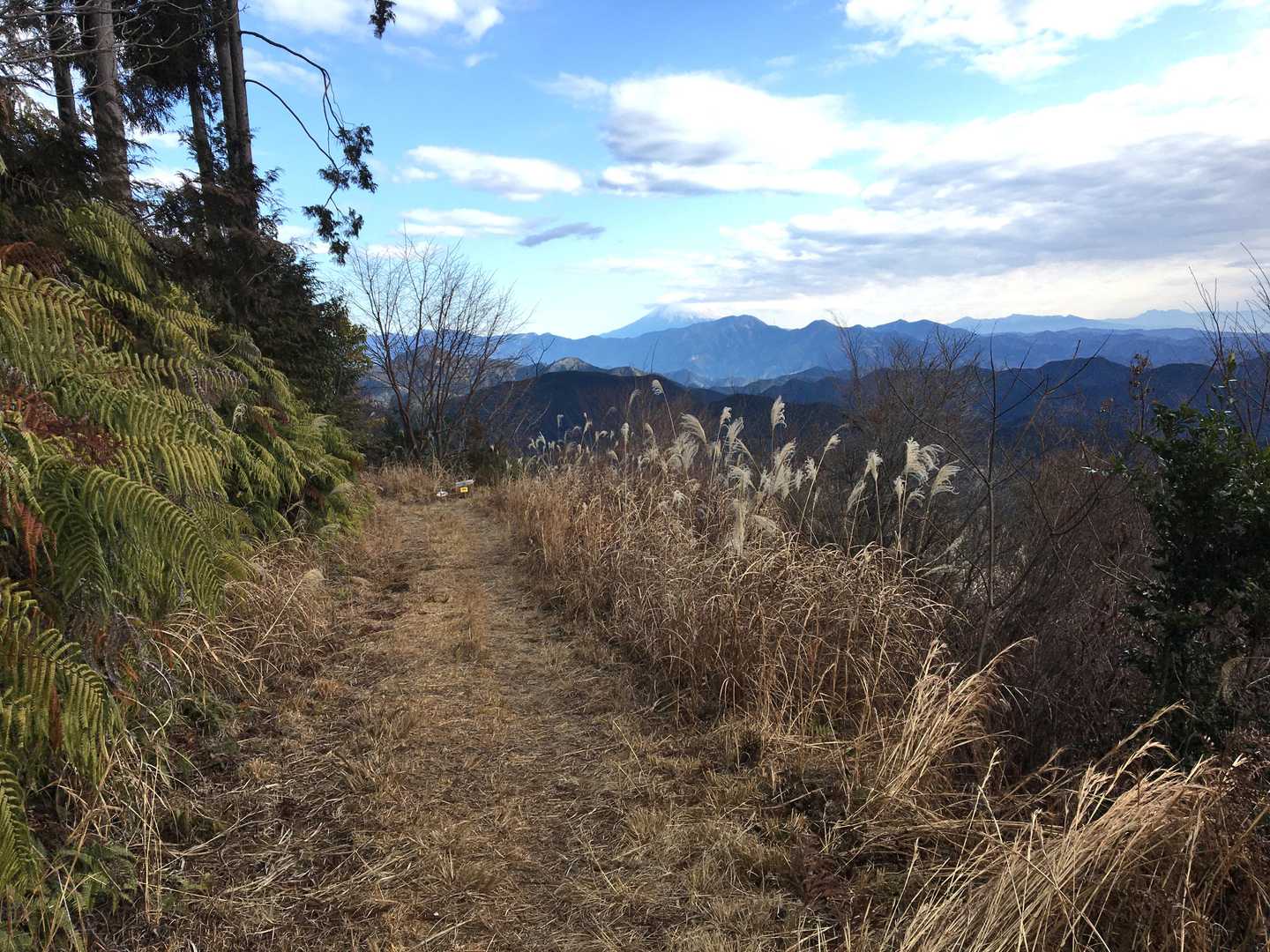 下山はじめ↓↓
遠〜くに冨士山👀