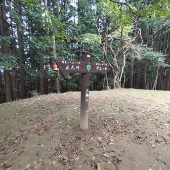 五輪山
ちょっと開けている