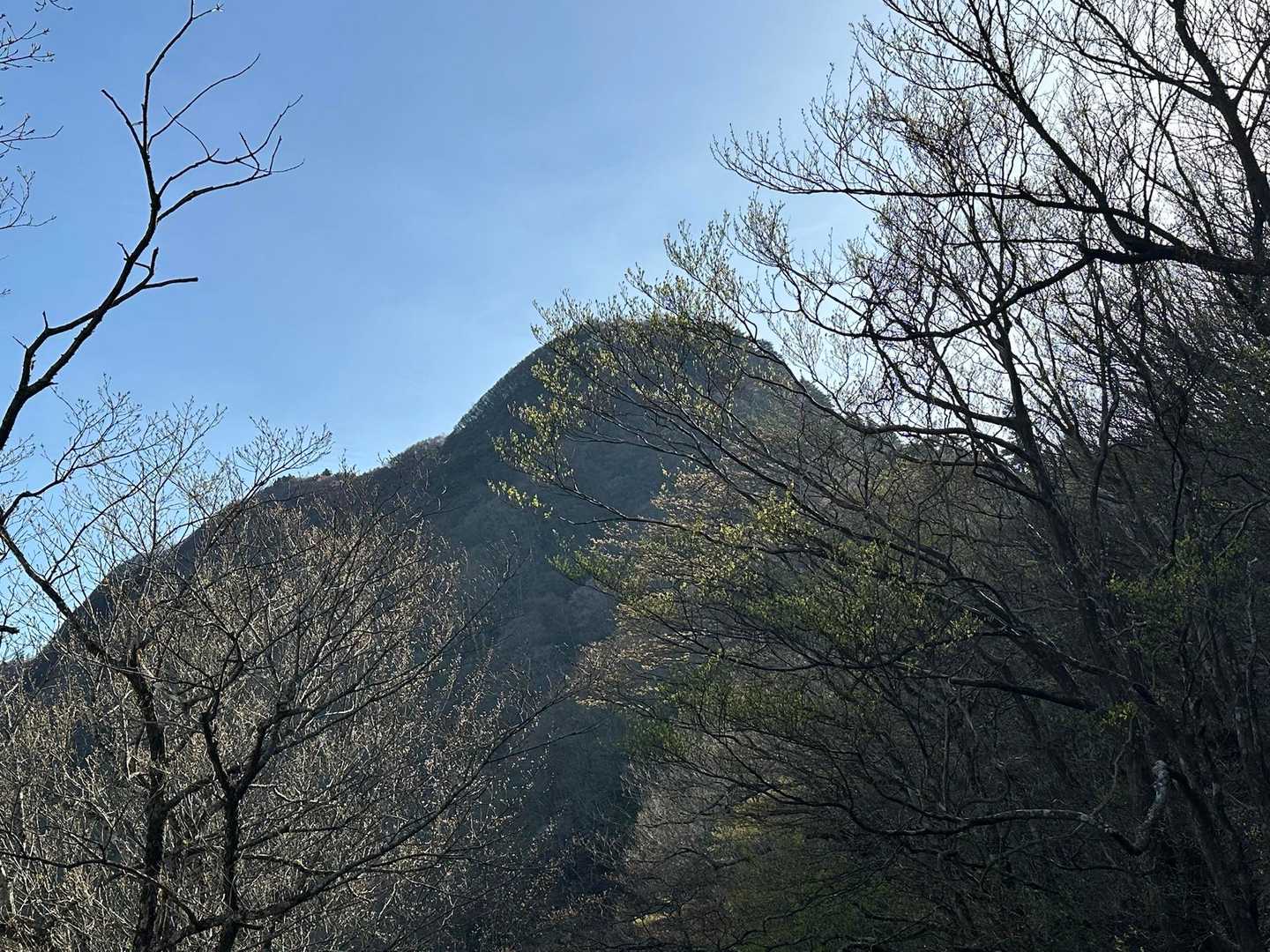 綱繰山ドーーーーン
