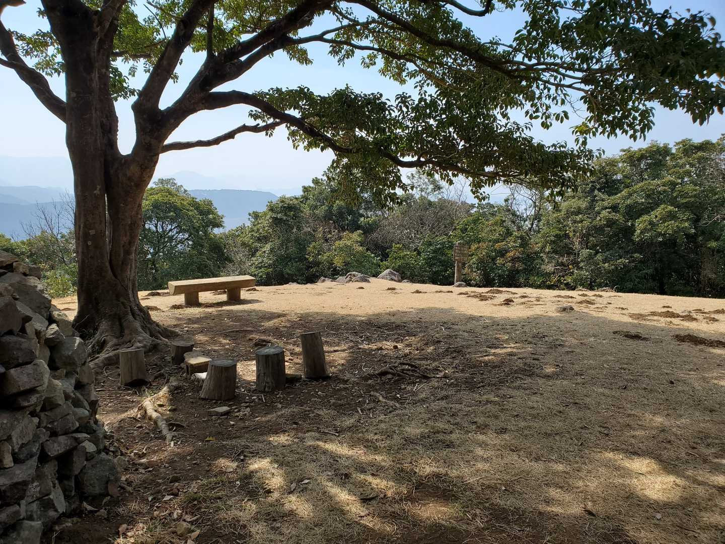 ここで寝っ転がるのも気持ちいいかも😁