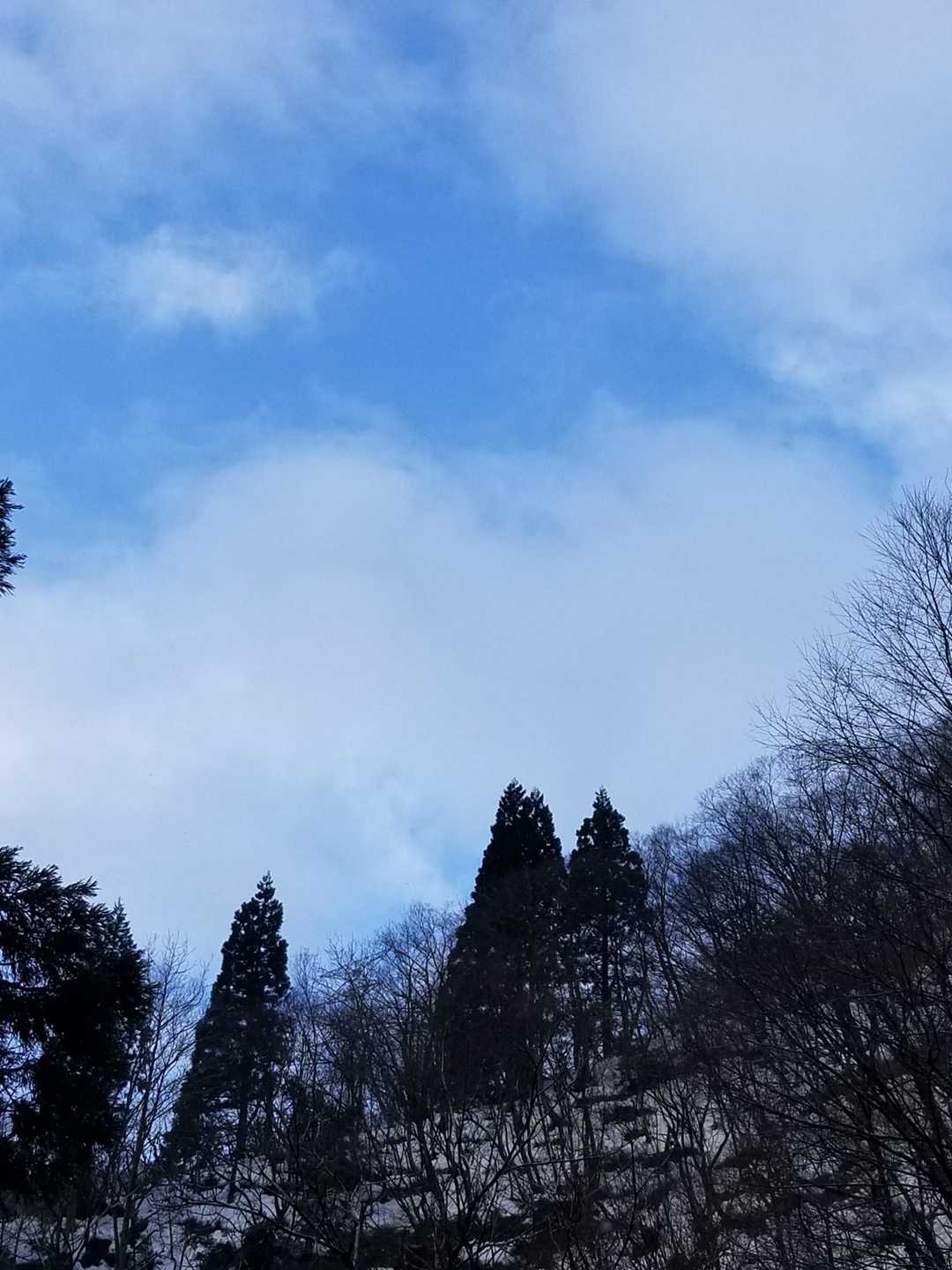 晴れるかな〜