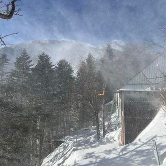風強いんです🌪️