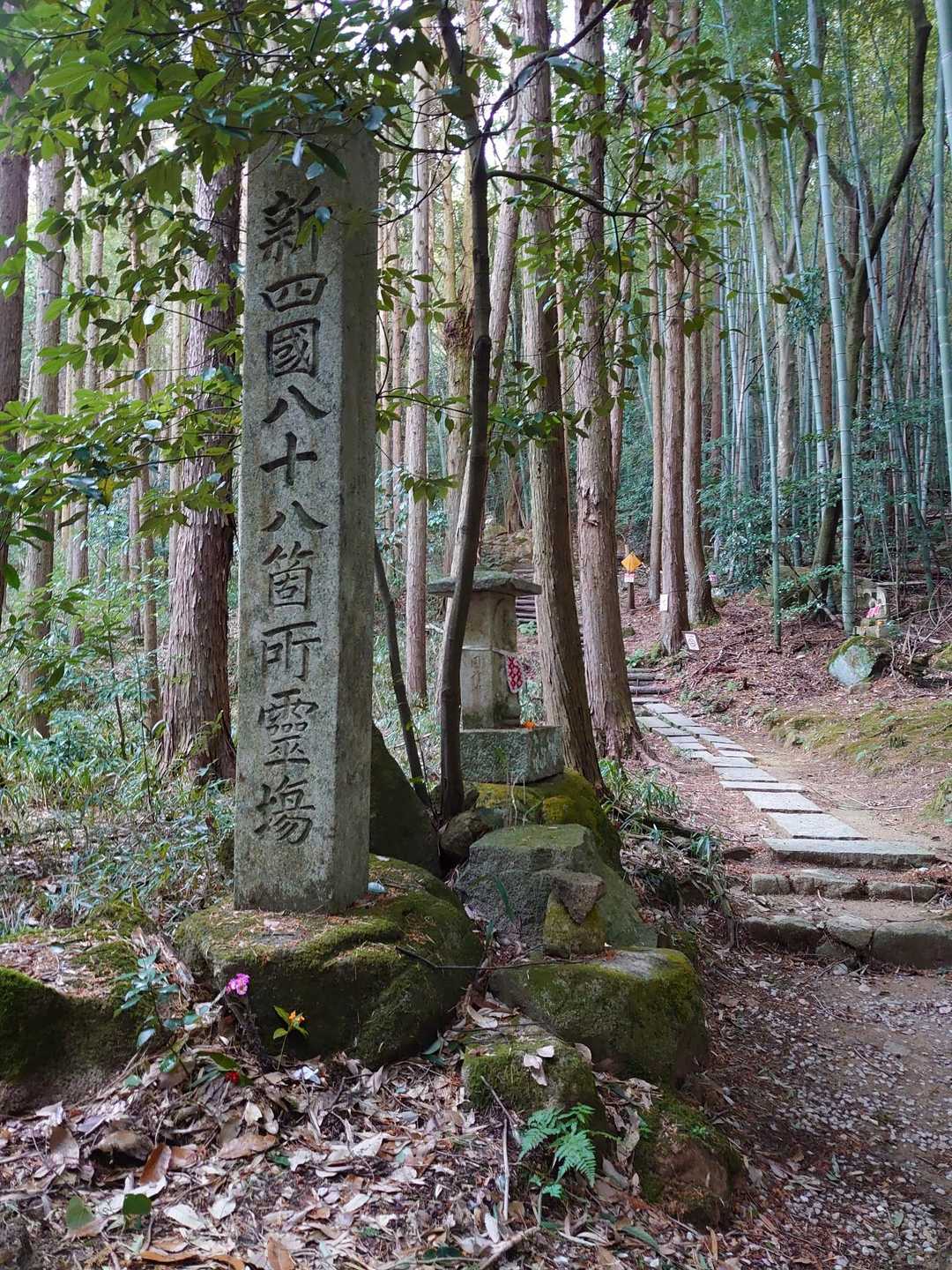 岩戸山 往復コースの写真