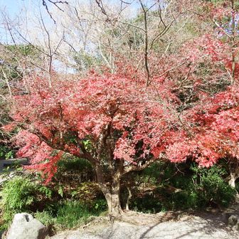 では先に進みます。