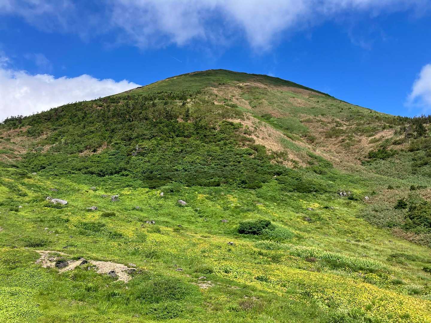 下山すると大岳が綺麗に見えてました
