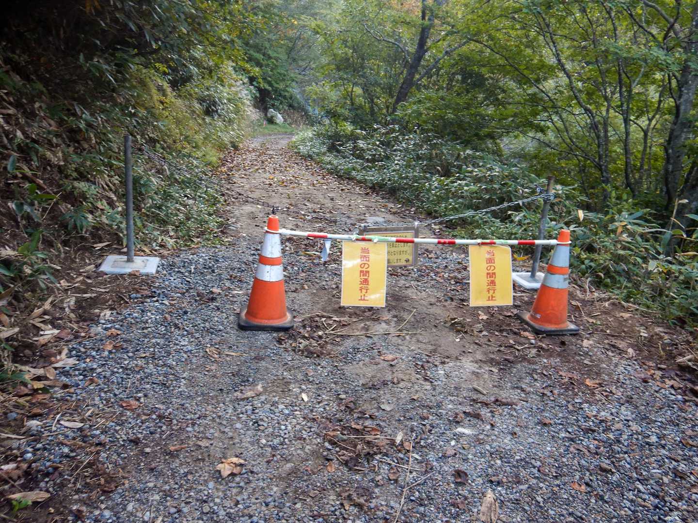 現在、大峠林道はヨロイ沢の手前で車両通行止。
通行止め直前の駐車余地は6時過ぎにはすでに満車状態。
ちょっと手前で車を停めることができた