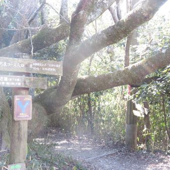 摂河泉展望コースの入口