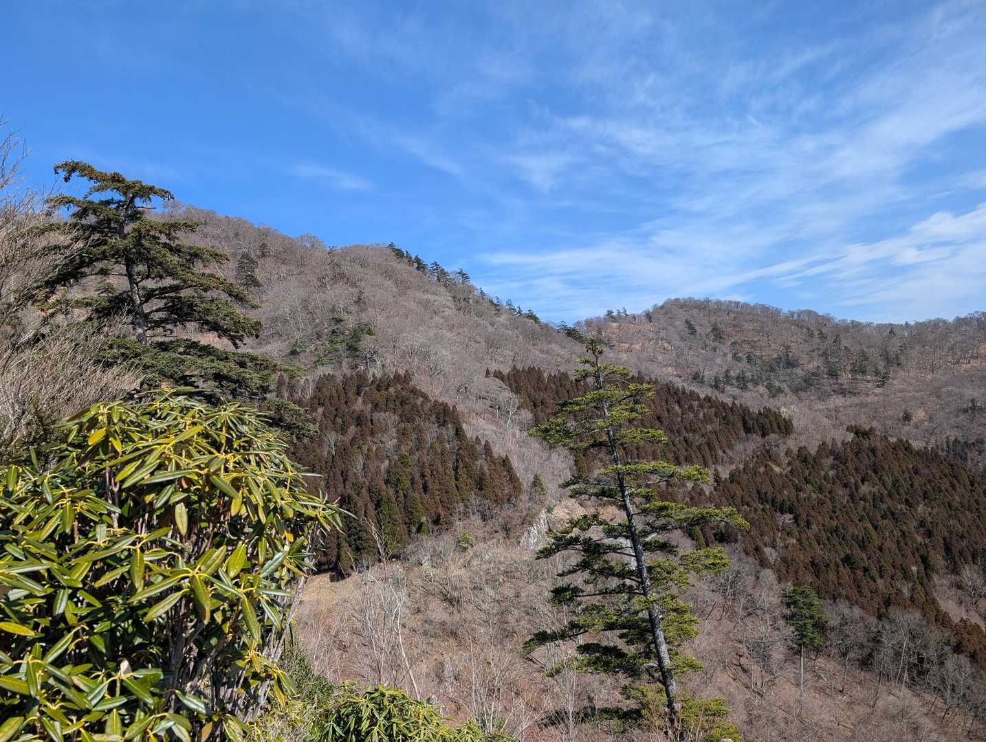 振り返り上福根山、前福根山