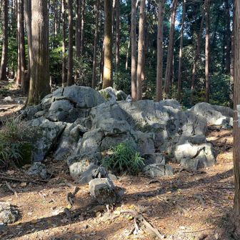 白石様
途中にポツンとある石灰岩