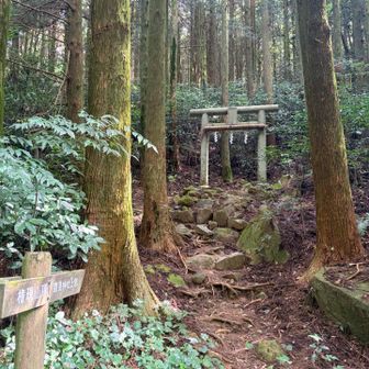 厳かな登山道。