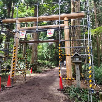 鳥居建て替え中
