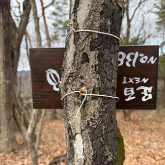 裏には足百のナンバーやホタルが