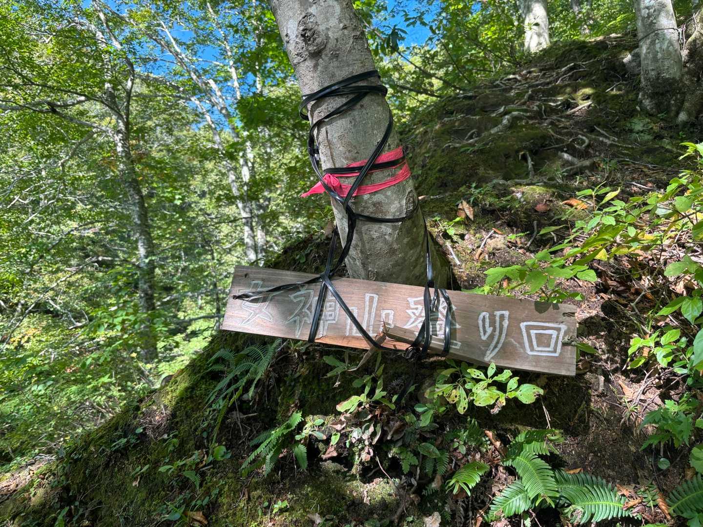 相沢林道登山口-女神山登り口-女神山 周回コースの写真
