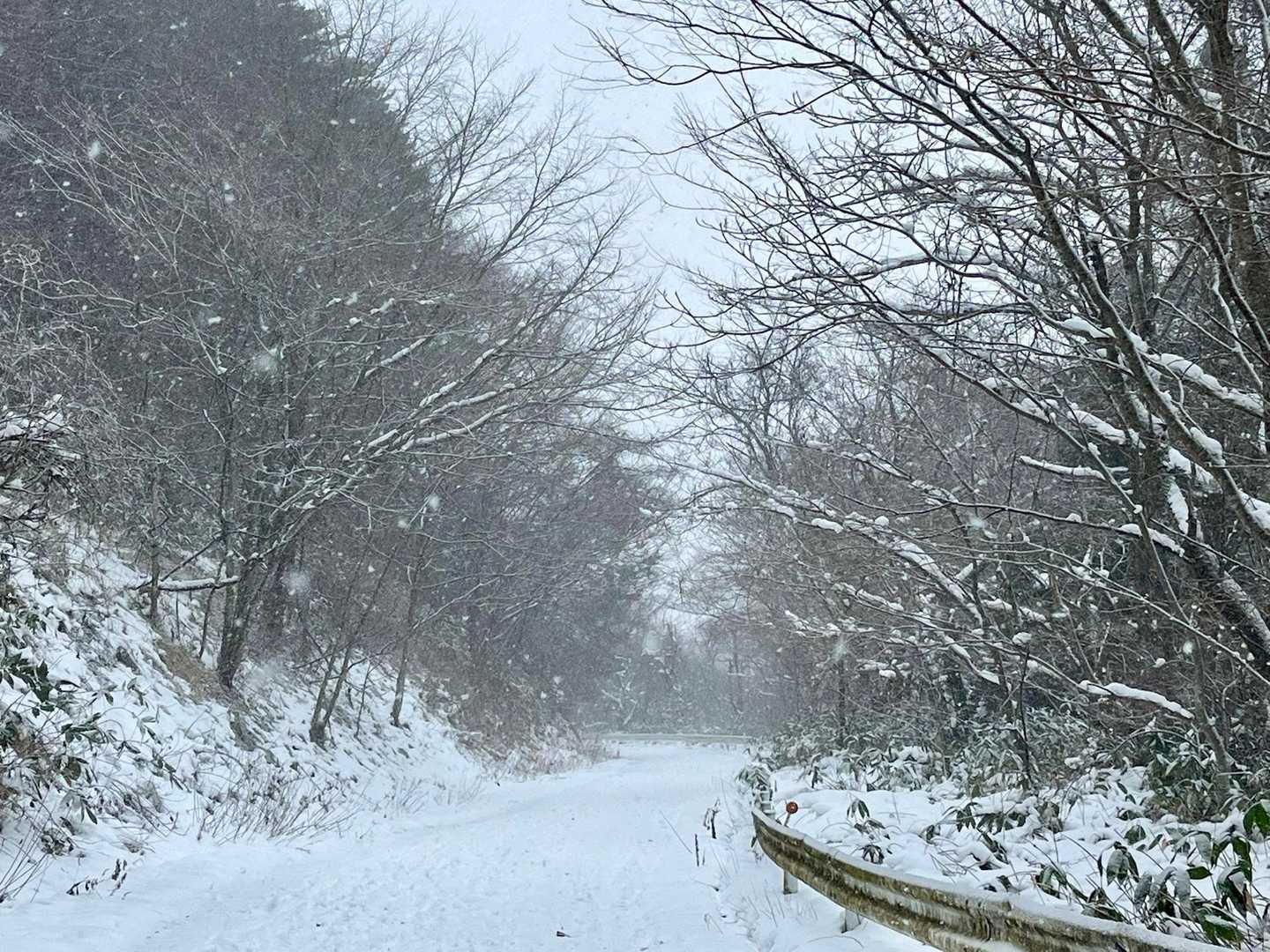 くまちゃんも春まで安らかに眠ることでしょう