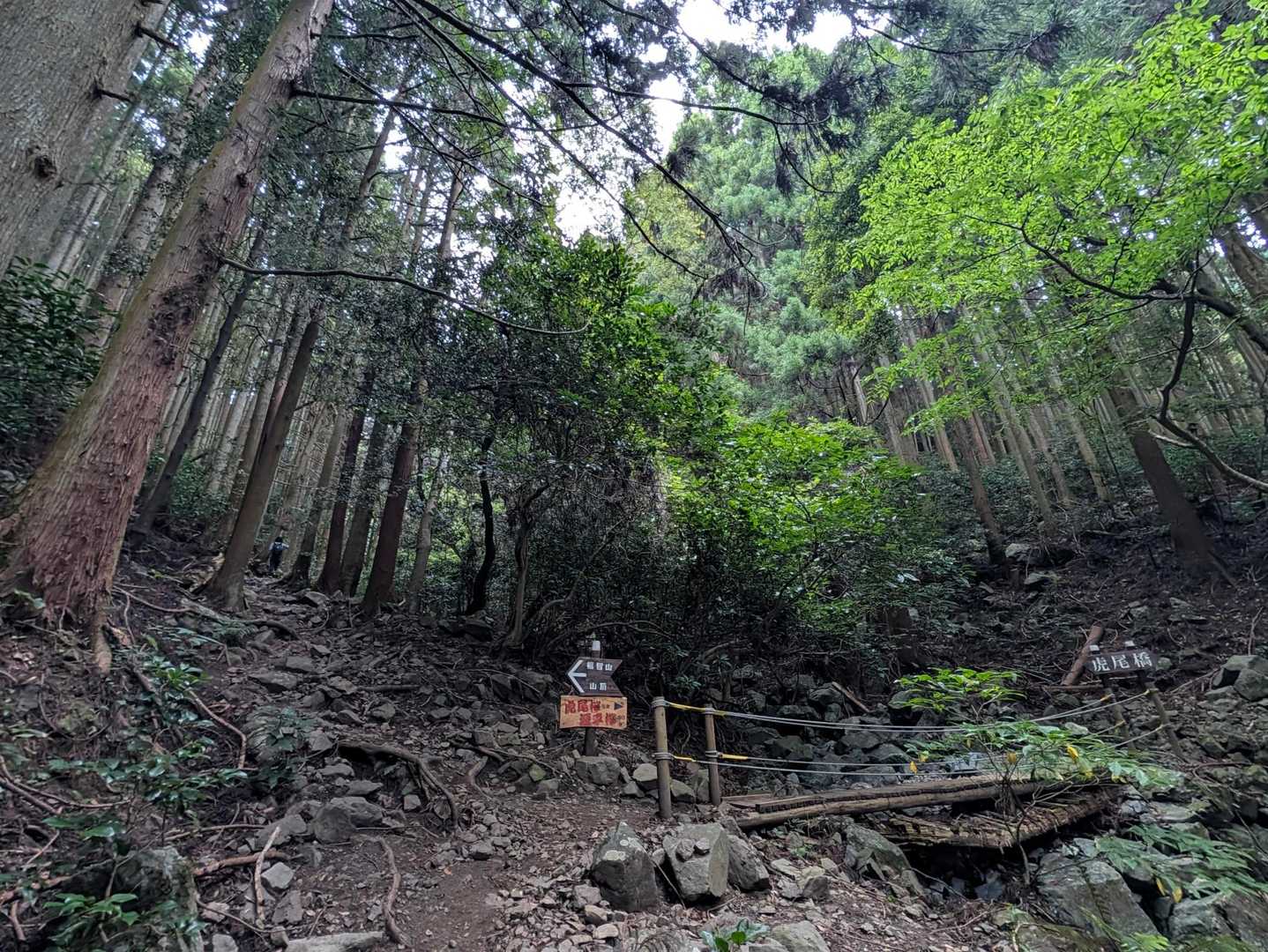 上野登山口-上野越・福智山分岐-福智山 往復コースの写真