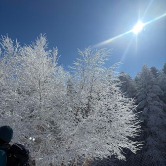 気持ち良いー☀️