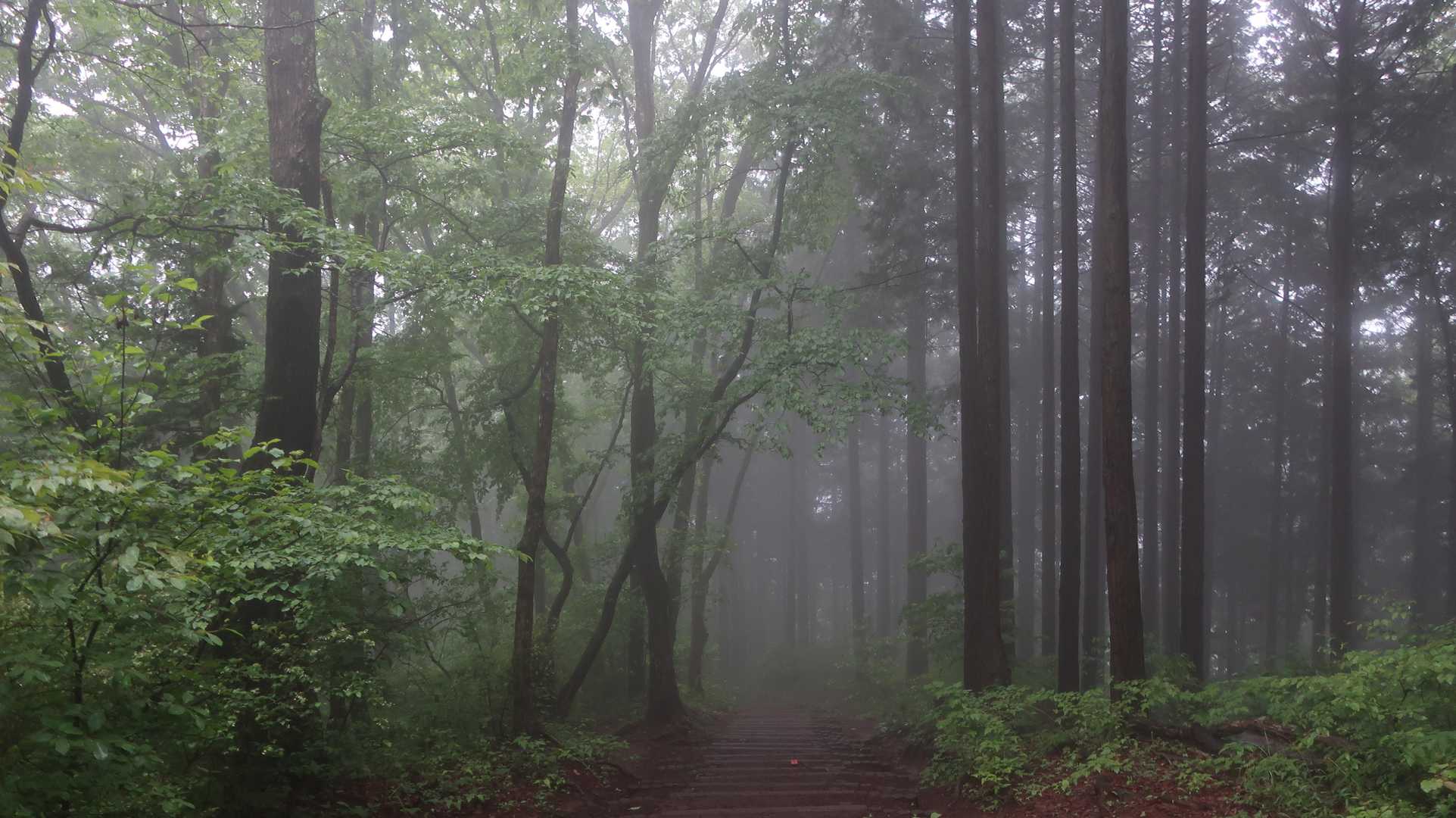 このしっとり感もけっこう好き