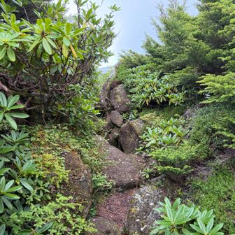 北横岳に向かいます
岩場が続きます
大岳の北側の斜面を歩きます