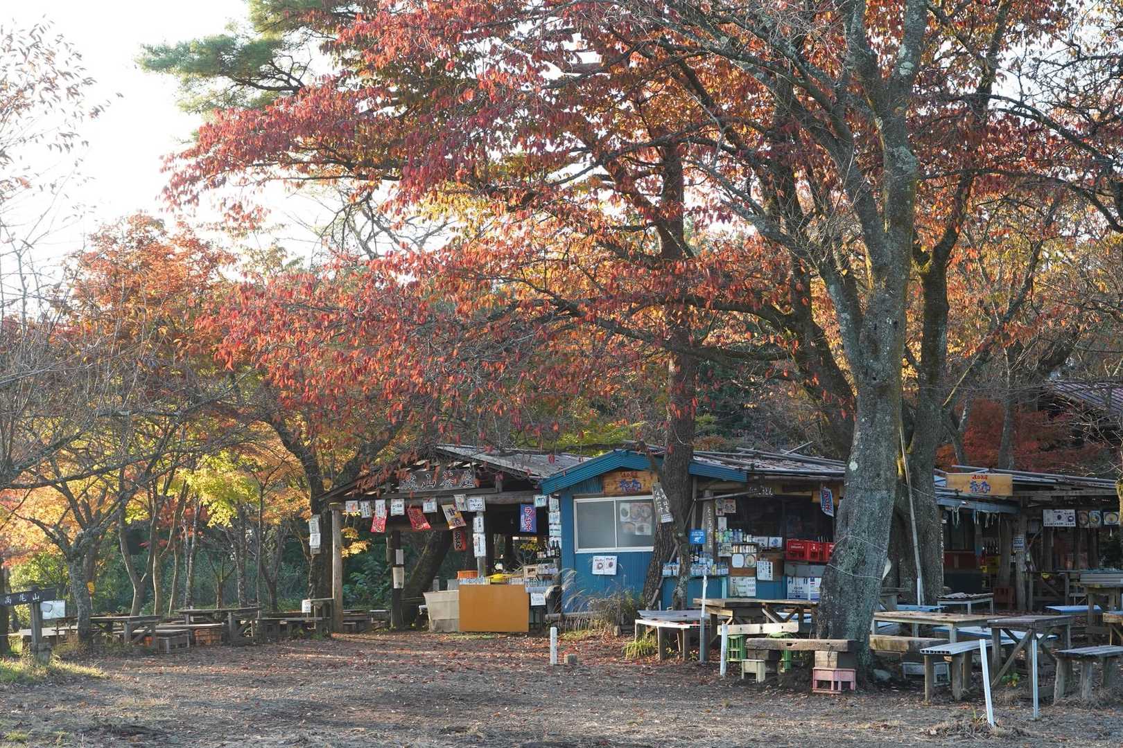 八王子城跡ハイキングコース入口-唐沢山-北高尾富士見台-板 縦走コースの写真
