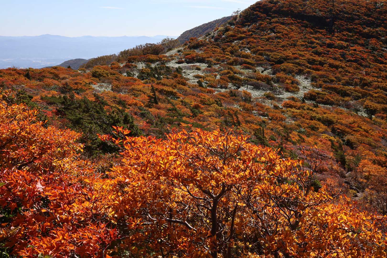 安達太良山登山口-旧土湯峠-鬼面山 往復コースの写真