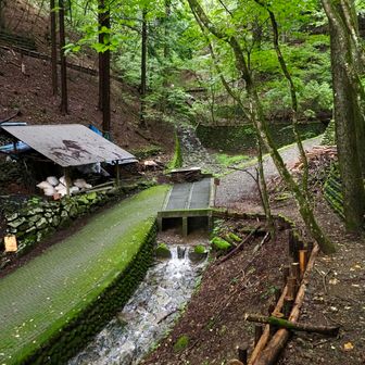 登山道終了