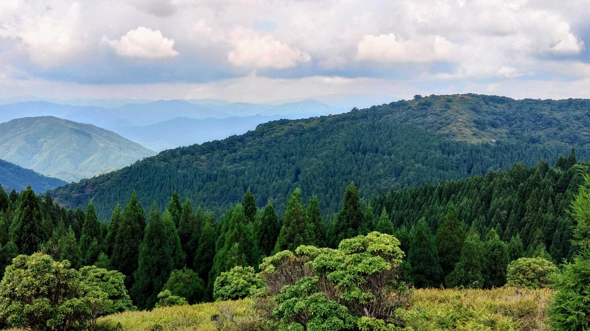 手前、杉山の向う、遠く山頂が雲に覆われた氷ノ山。