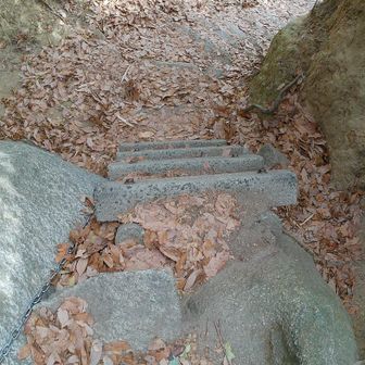 下るけど、小さな階段はちょっと怖い