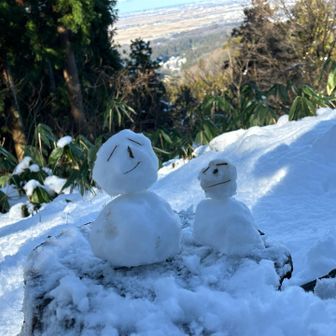 左⬅️私作➡️右カミさん作