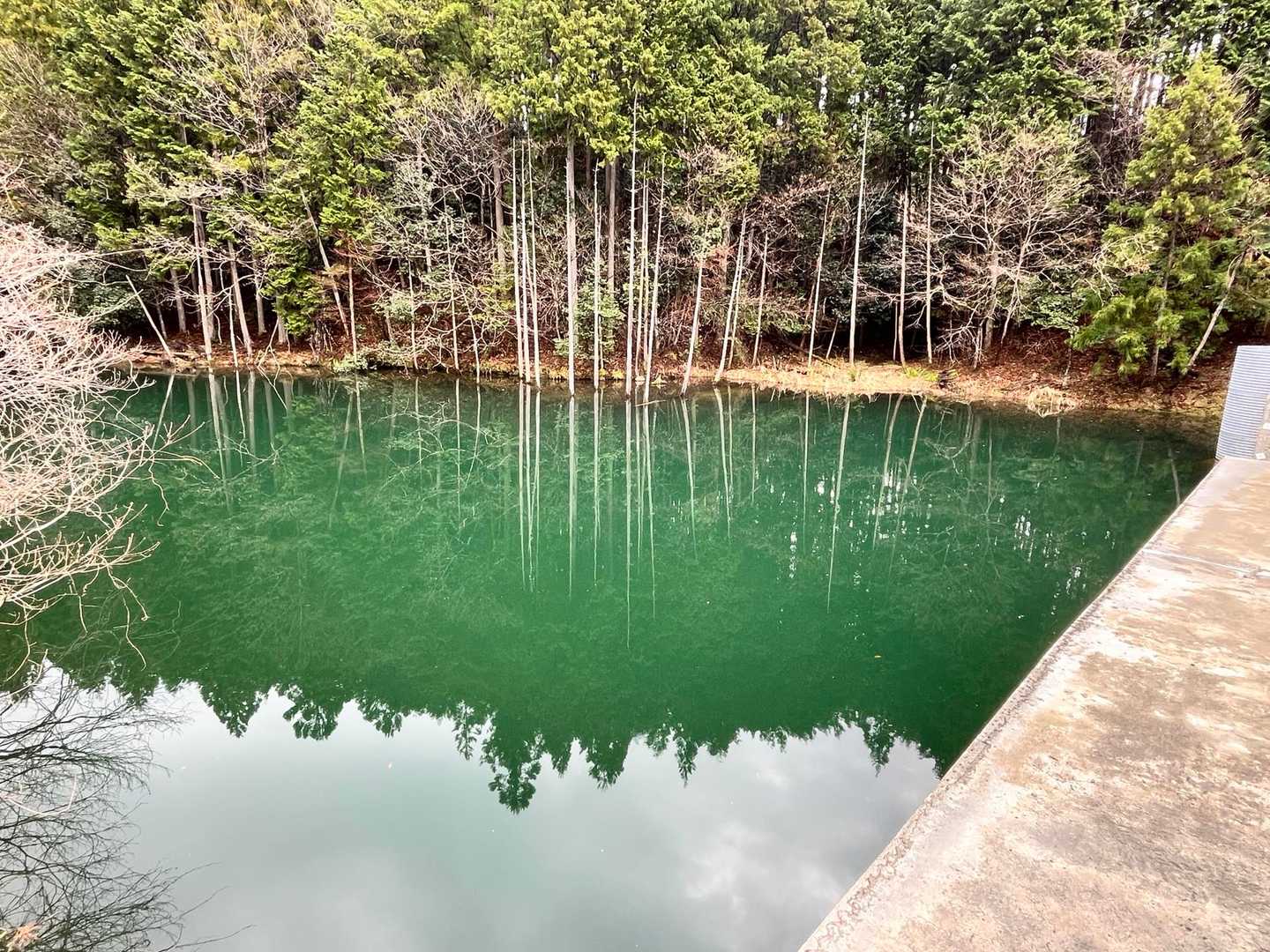 高畑山 往復コースの写真