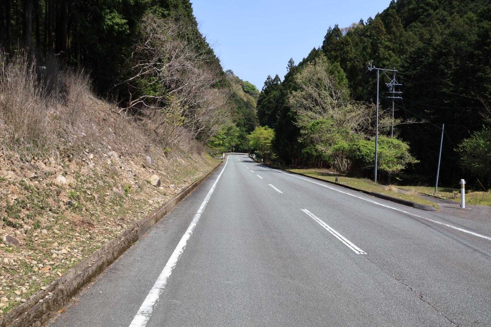 出たー
道路歩いて帰ろ