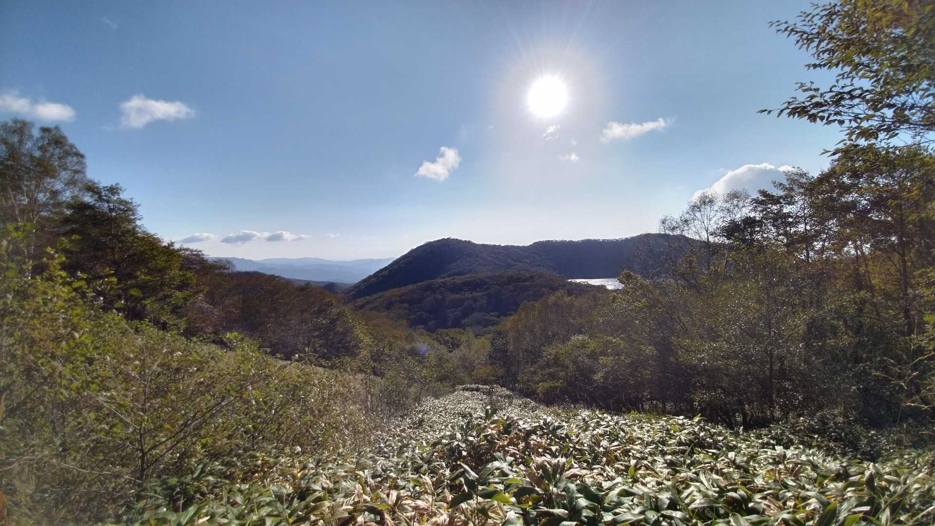 振り向くとこの景色✨☀️✨