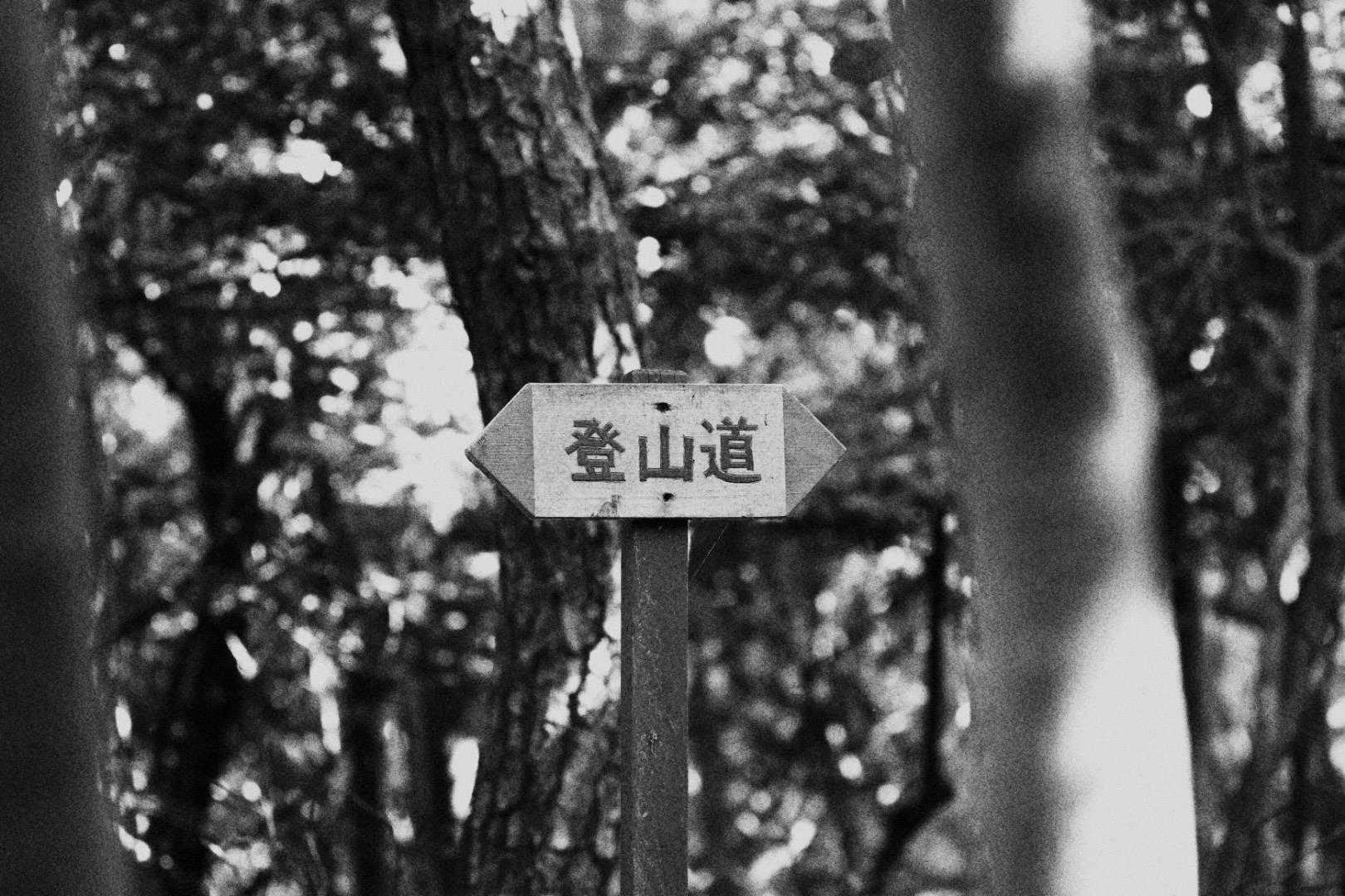 至る所に登山道の看板🪧
ありがとう