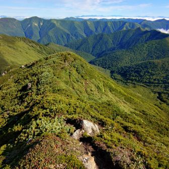 左チロロや右後方に芽室岳方面
夕張岳から大雪山系も雲海に浮かんでました🏔️