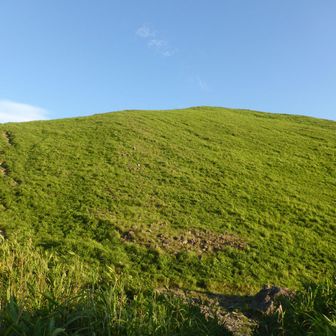分岐して草山に取り付く