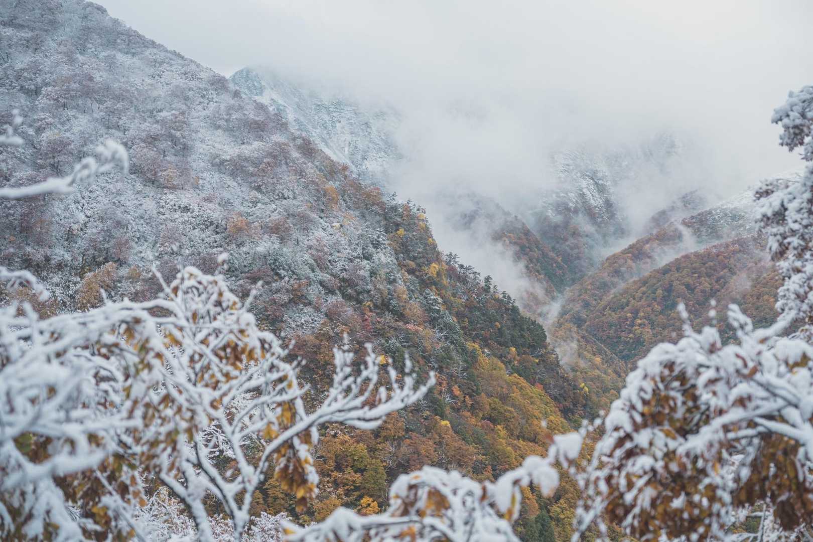 ガスが薄くなったタイミングで見える下の紅葉は、とても綺麗！