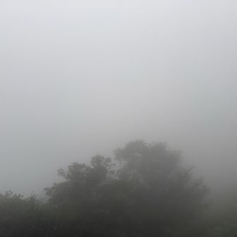 山頂公園着いたが真っ白。