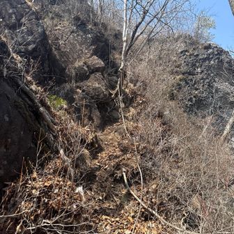 降ったところを振り返りパシャリ
かなりあぶない