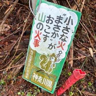 🐿️りすさんお疲れさまです