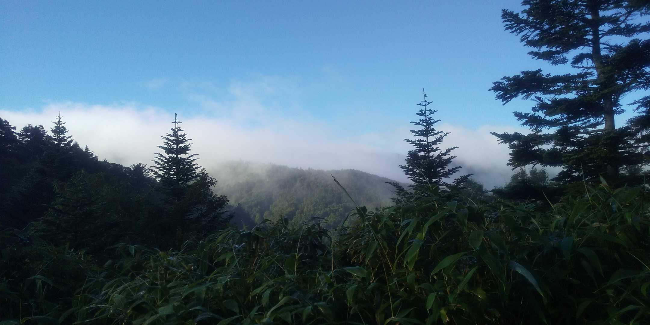 志賀高原の朝✨