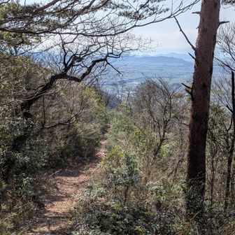 高取山から下山
眺望よし！✨
