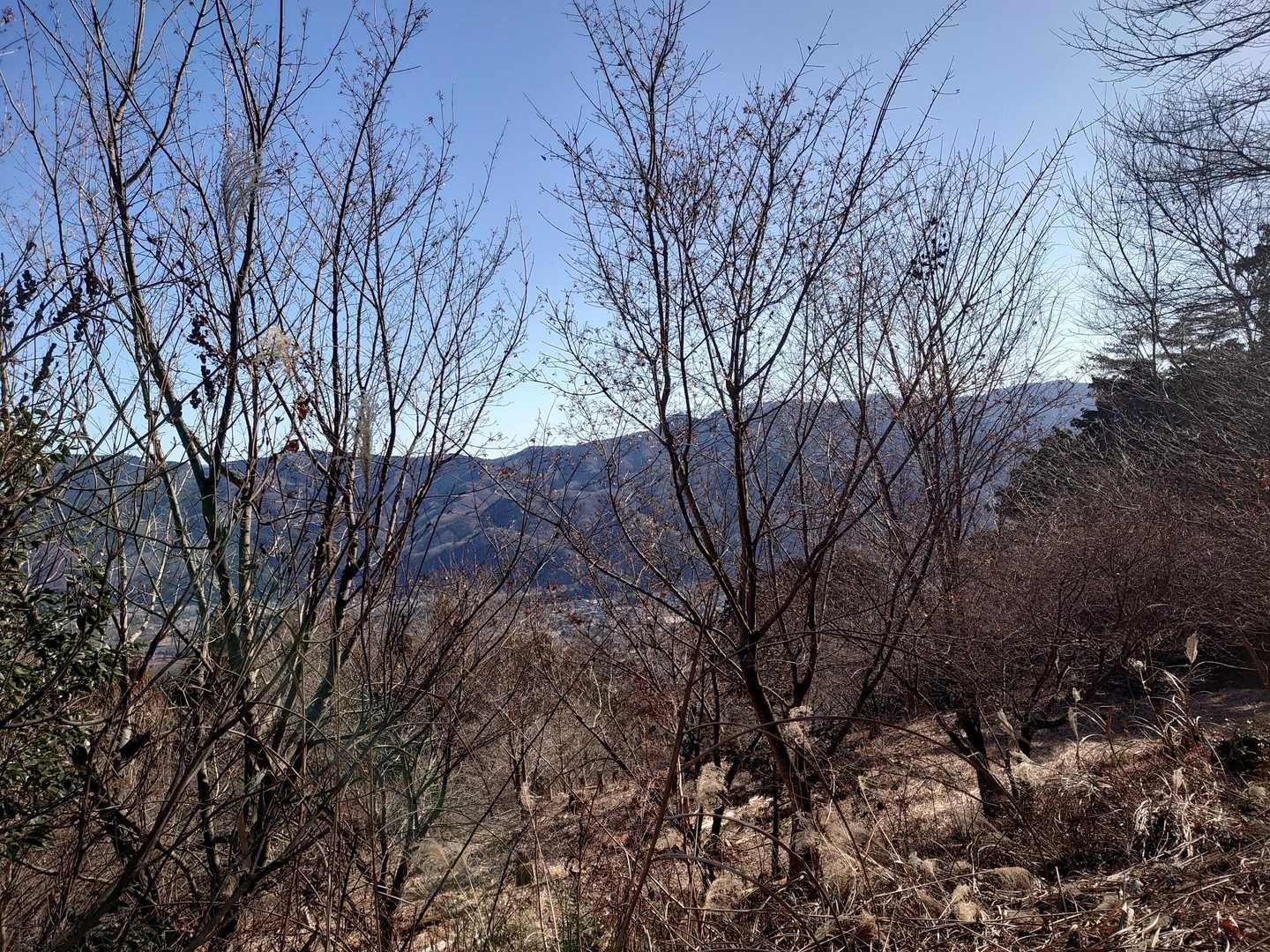 ロープウェイで気軽に楽しめる“宝の登山”の山上散策の写真