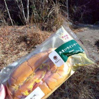 ベンチがあるのでここで軽くランチ　パンとコーンスープ🍲
